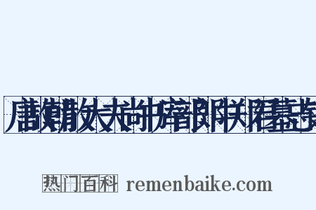 唐故朝散大夫尚书库部郎中郑君墓志铭是什么意思的图片